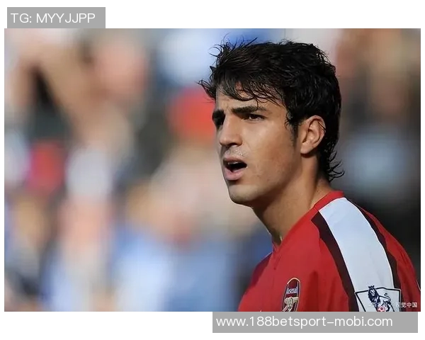 曼奇尼回应法布雷加斯批评称他当年踢球也爱说话